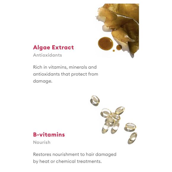 NEW Briogeo Don't Despair Repair Set Shampoo Conditioner Mask 3x2oz Dry Hair - Picture 12 of 13